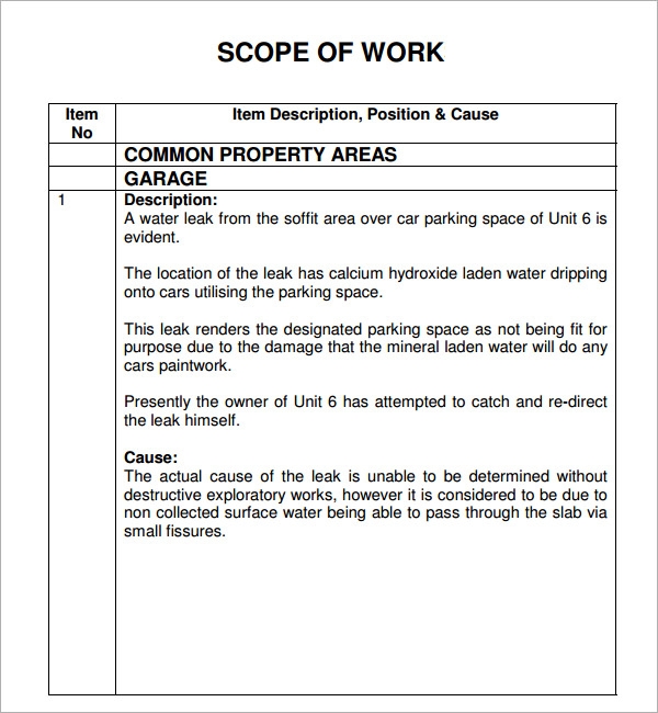 Detail Scope Of Work Template Word Nomer 22