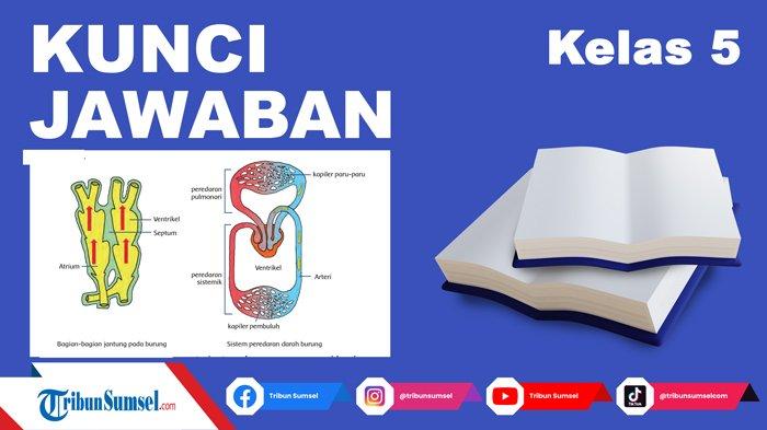 Detail Sebutkan 5 Contoh Gangguan Pada Organ Peredaran Darah Manusia Nomer 45