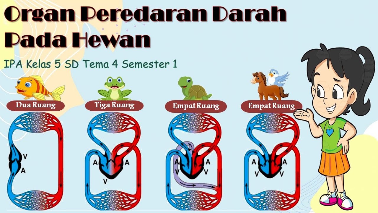 Detail Sebutkan 5 Contoh Gangguan Pada Organ Peredaran Darah Manusia Nomer 47