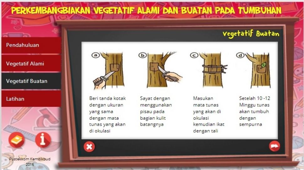 Detail Sebutkan Contoh Perkembangbiakan Vegetatif Buatan Nomer 8