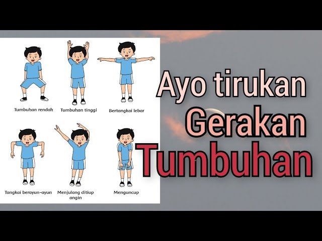 Detail Sebutkan Tiga Contoh Gerak Lambat Nomer 11