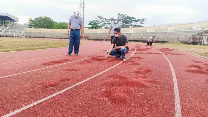 Detail Semua Gambar Lapangan Atletik Nomer 27