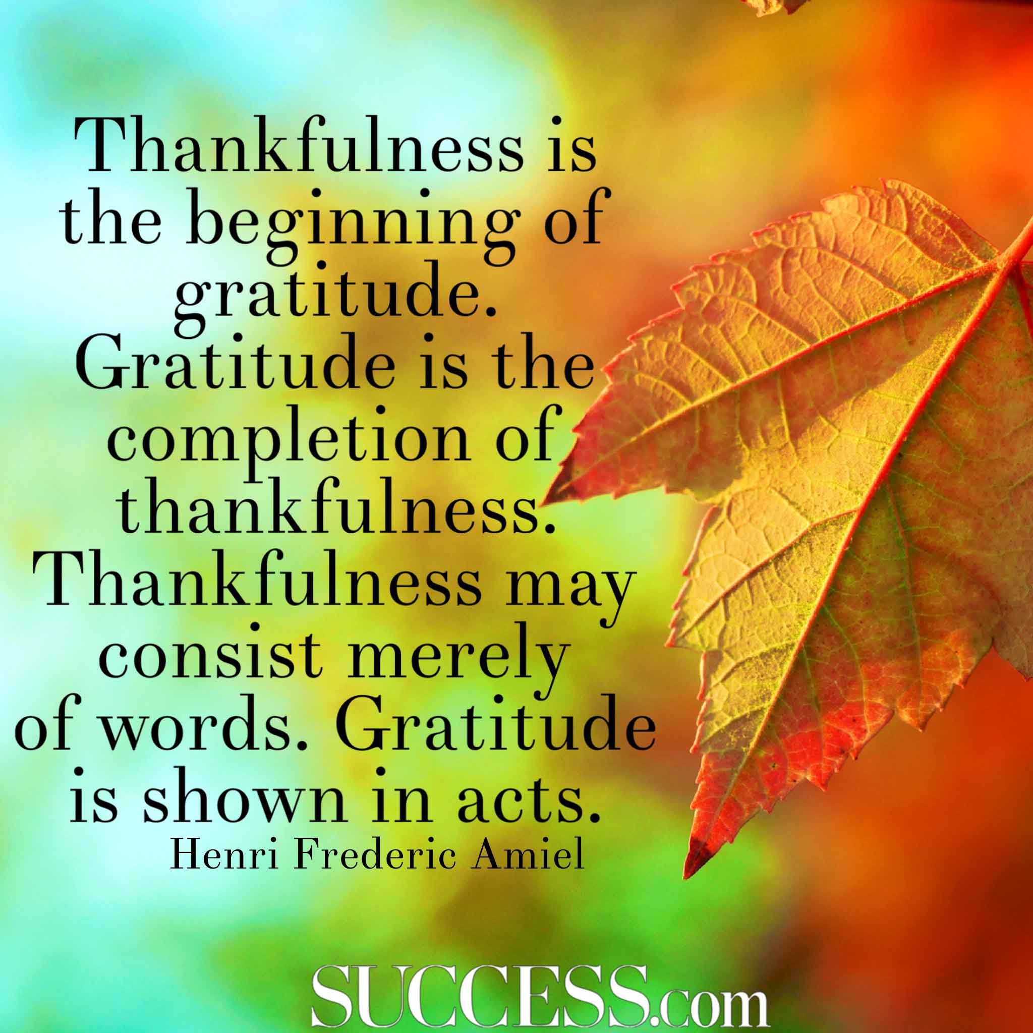 Detail Sense Of Gratitude Quotes Nomer 39