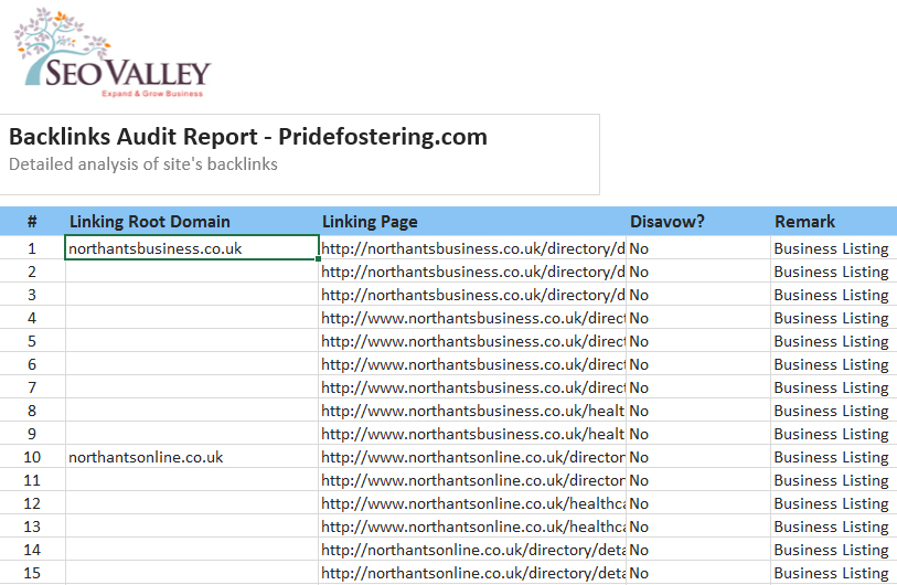 Detail Seo Report Template Nomer 24