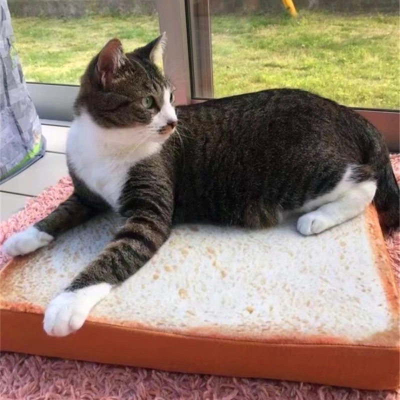 Detail Serat Untuk Kucing Nomer 17