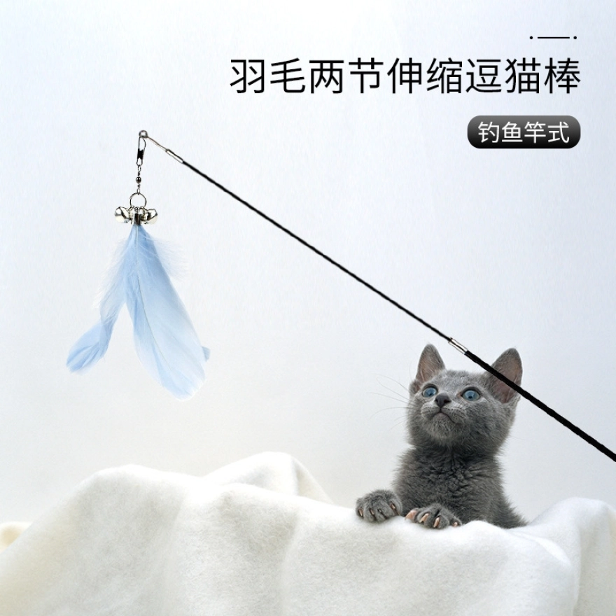 Detail Serat Untuk Kucing Nomer 46