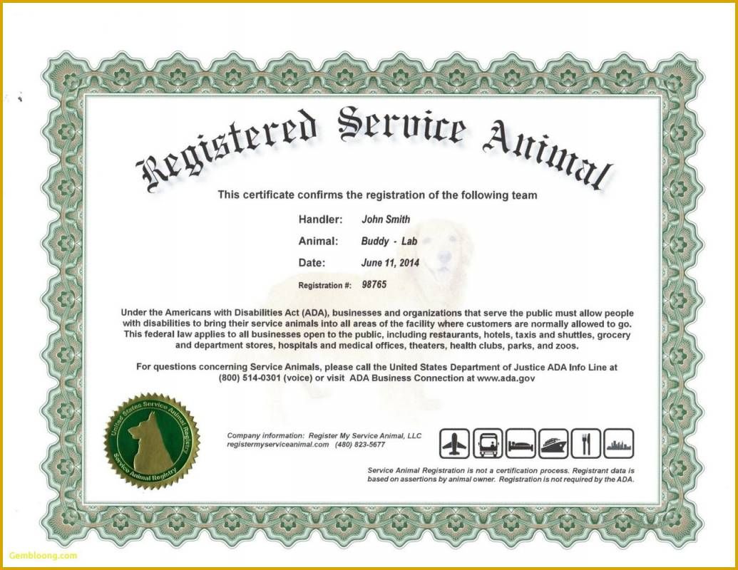 Detail Service Dog Training Certificate Template Nomer 12