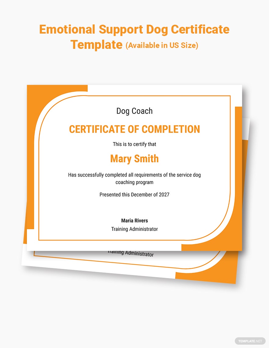 Detail Service Dog Training Certificate Template Nomer 14