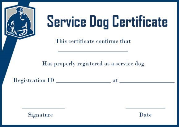 Detail Service Dog Training Certificate Template Nomer 3