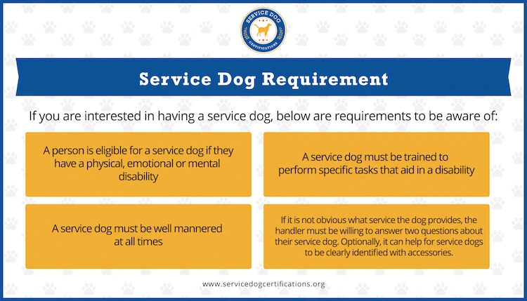 Detail Service Dog Training Certificate Template Nomer 21