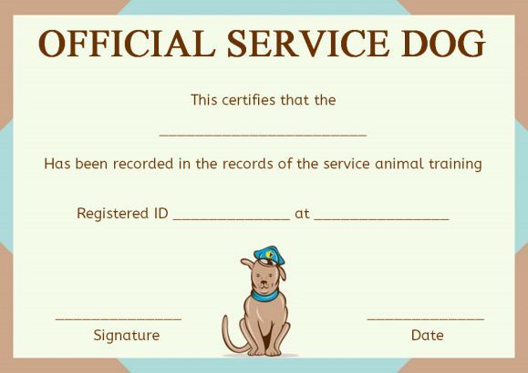 Detail Service Dog Training Certificate Template Nomer 6