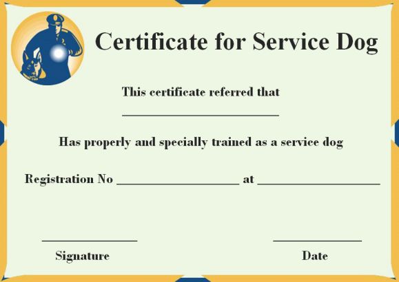 Detail Service Dog Training Certificate Template Nomer 7