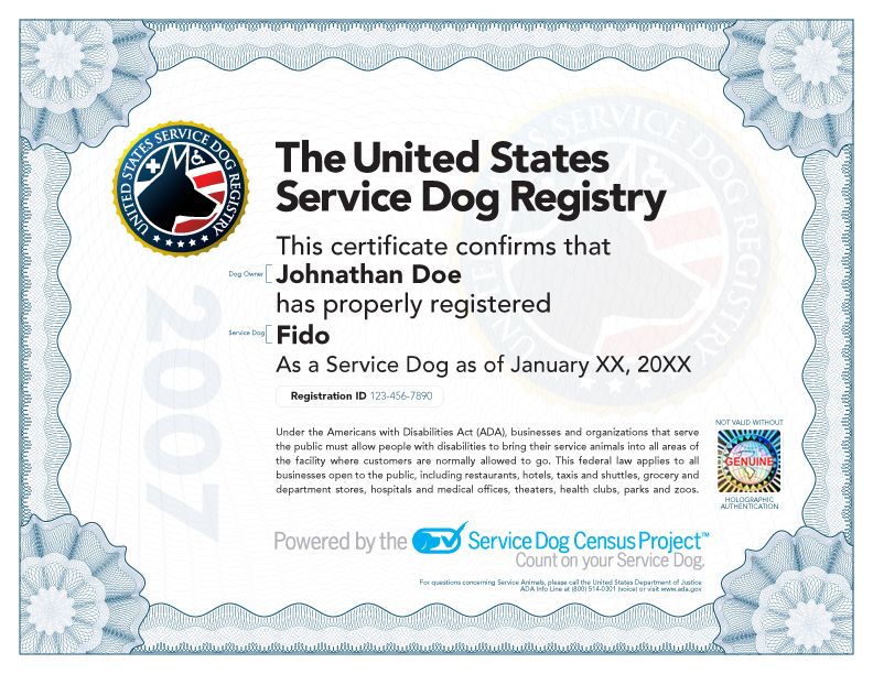 Detail Service Dog Training Certificate Template Nomer 8