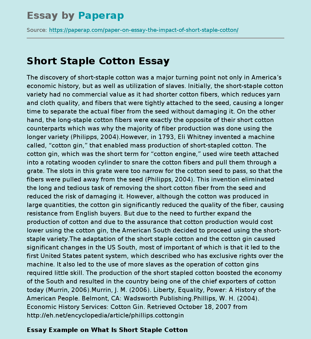 Detail Short Essay Template Nomer 46