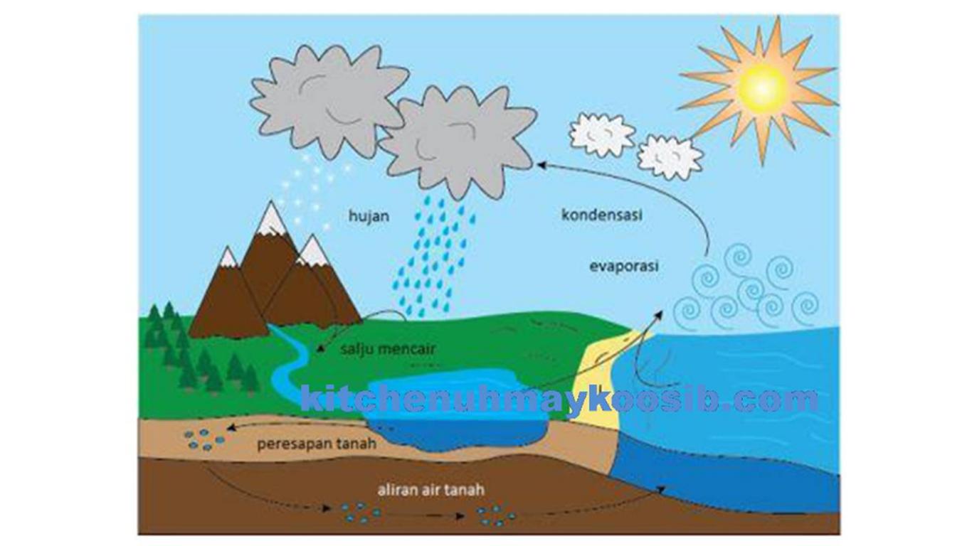 Detail Siklus Air Panjang Dan Penjelasannya Gambar Lingkungan Hidup Nomer 17
