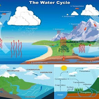 Detail Siklus Air Panjang Dan Penjelasannya Gambar Lingkungan Hidup Nomer 41