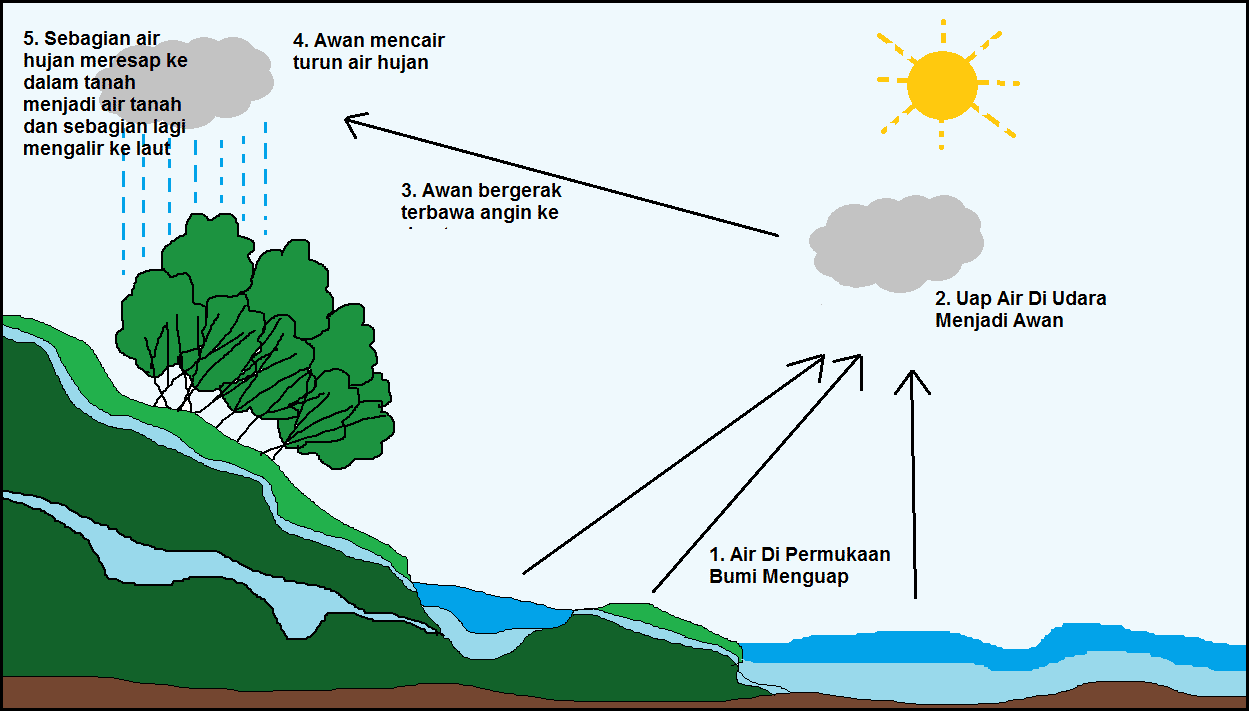 Detail Siklus Air Panjang Dan Penjelasannya Gambar Lingkungan Hidup Nomer 44