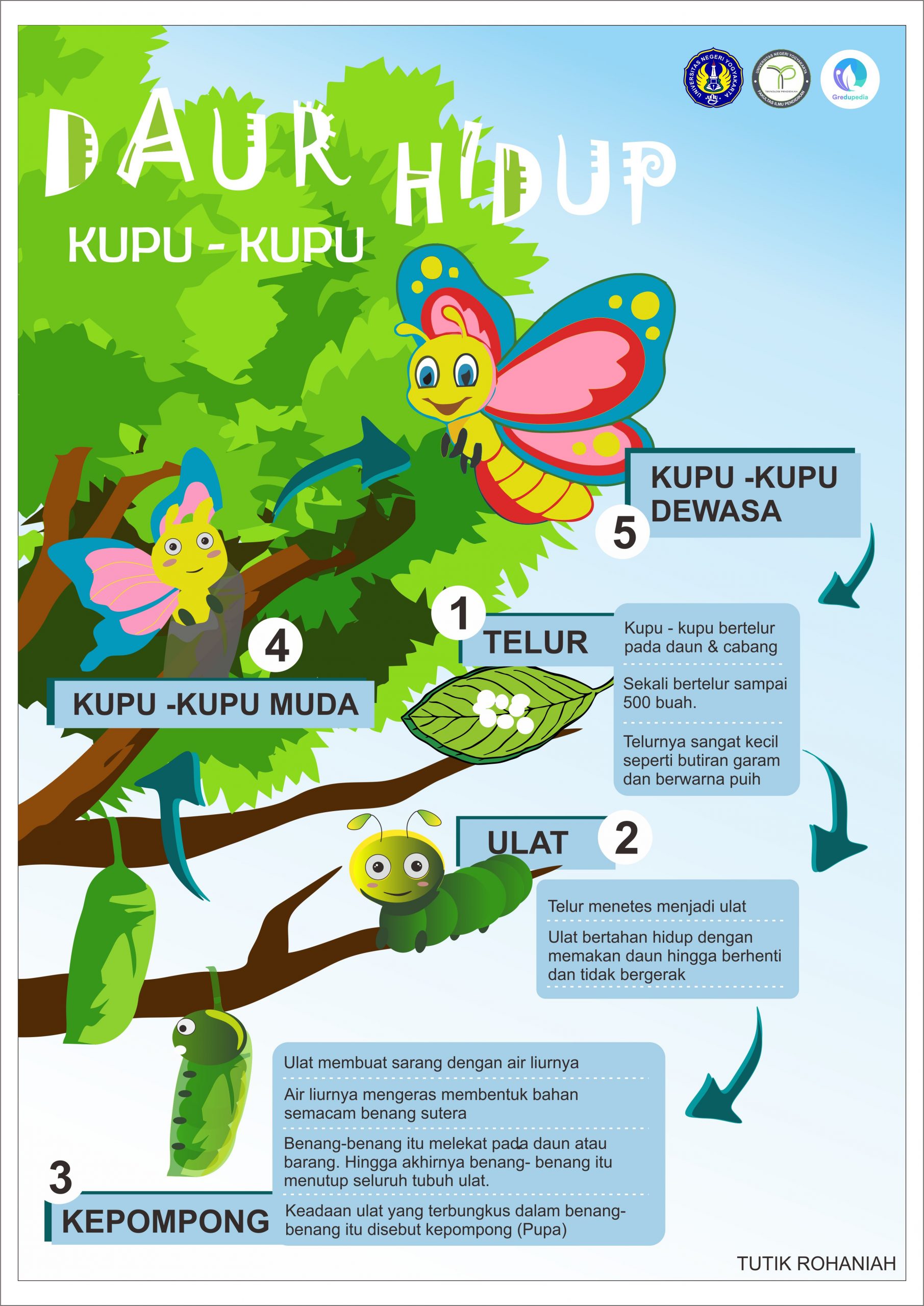 Detail Siklus Kehidupan Kupu Kupu Nomer 17