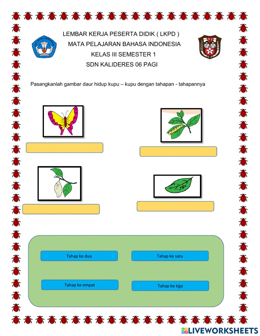 Detail Siklus Kehidupan Kupu Kupu Nomer 48