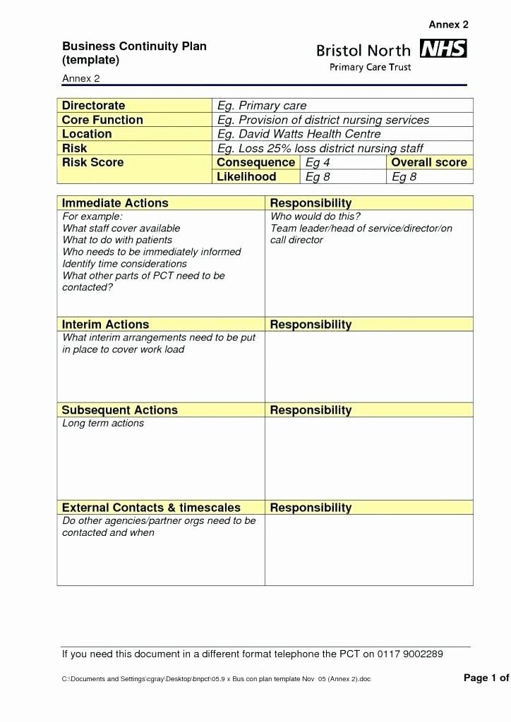 Detail Simple Disaster Recovery Plan Template Nomer 2