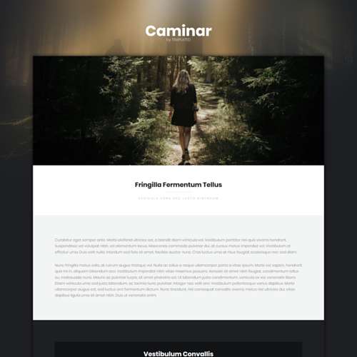 Detail Simple Html Homepage Template Nomer 45