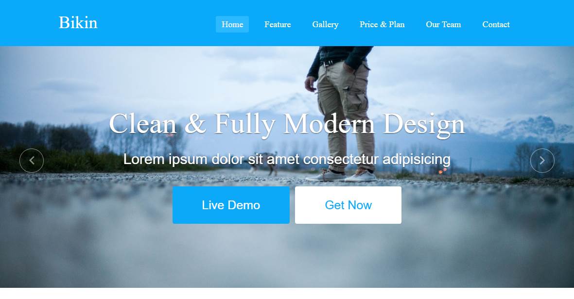 Download Simple Landing Page Template Free Nomer 14