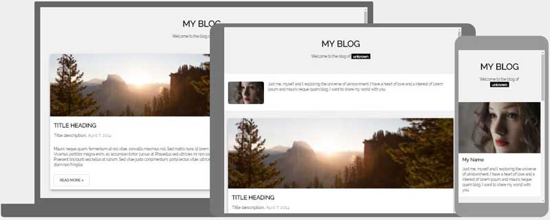 Detail Simple Responsive Html Template Nomer 29