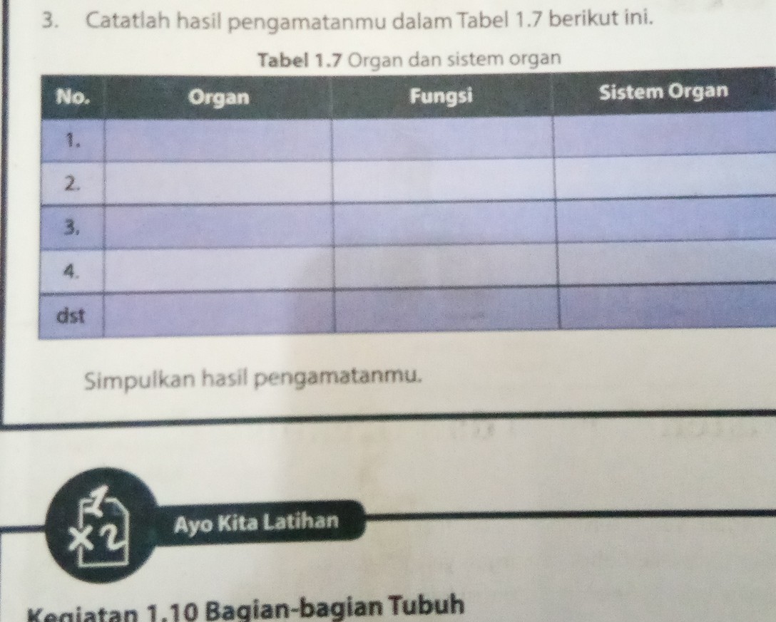 Detail Sistem Organ Gambar Organ Fungsi Nomer 20