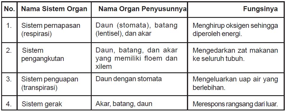 Detail Sistem Organ Gambar Organ Fungsi Nomer 24