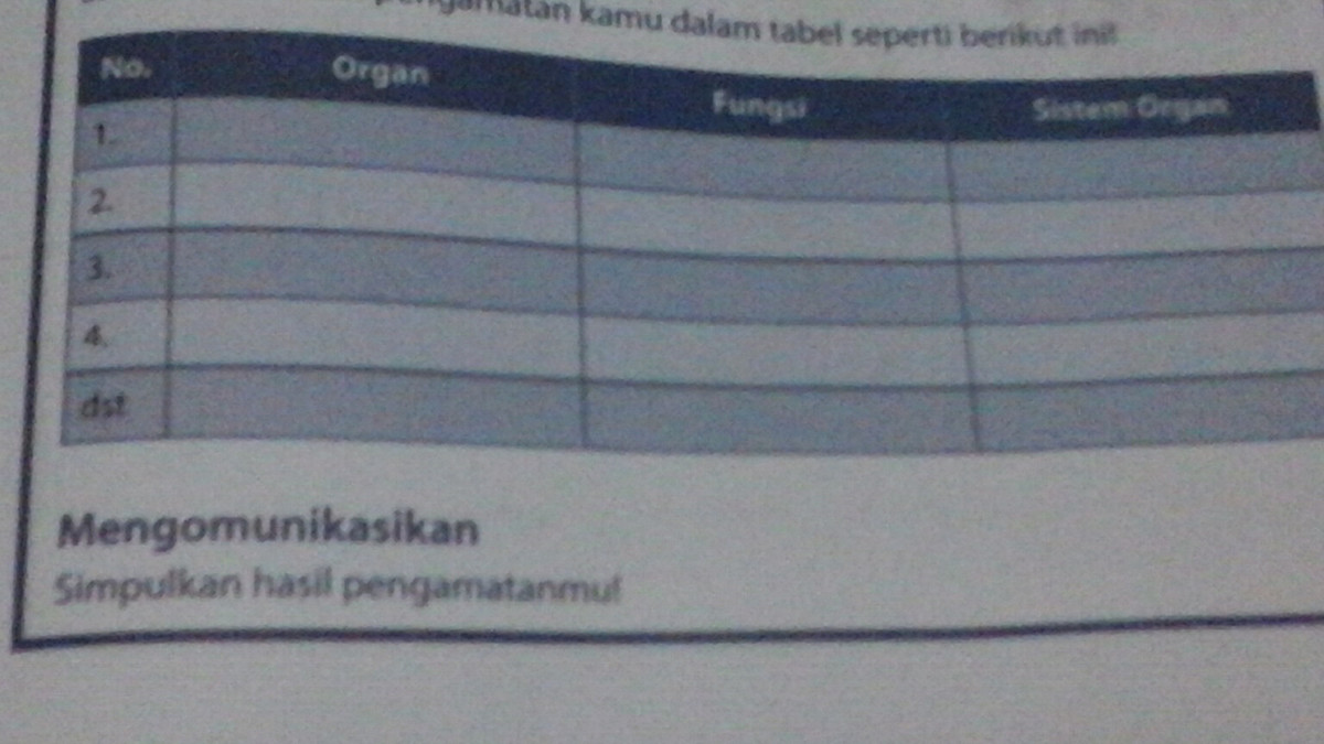 Detail Sistem Organ Gambar Organ Fungsi Nomer 37