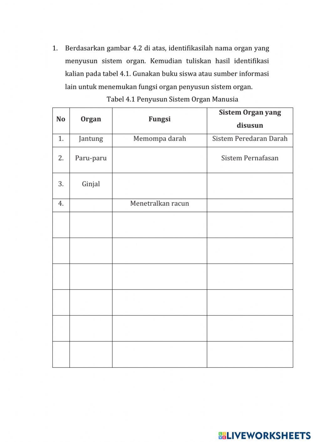 Detail Sistem Organ Gambar Organ Fungsi Nomer 44