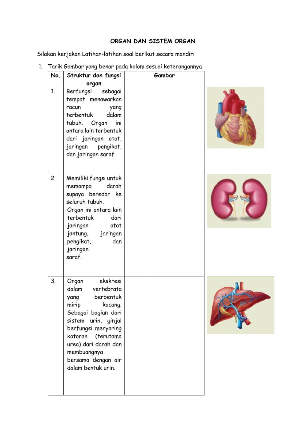 Detail Sistem Organ Gambar Organ Fungsi Nomer 9