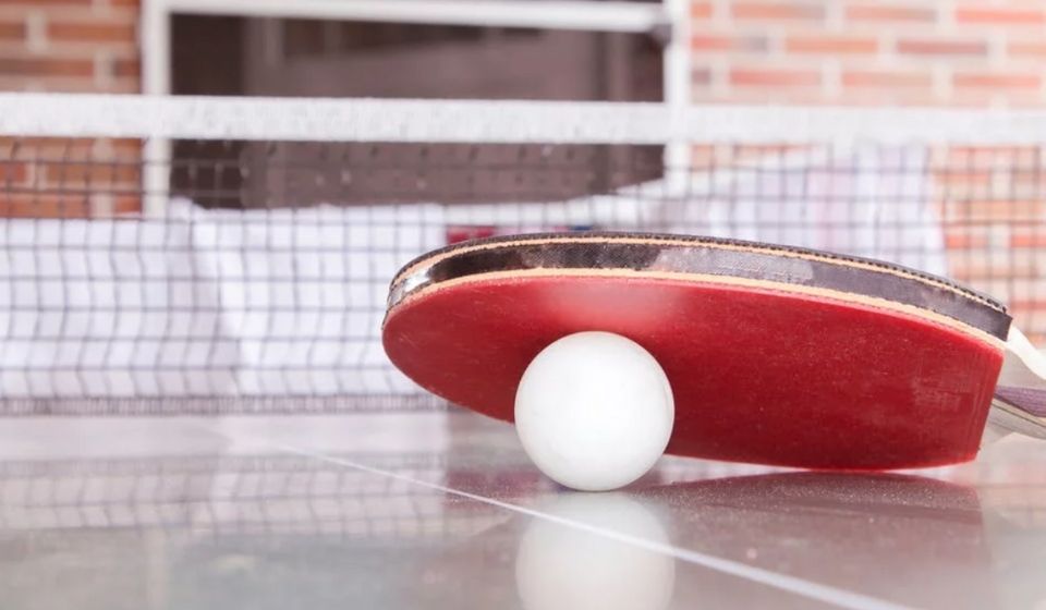 Detail Sistem Penilaian Pada Tenis Meja Adalah Nomer 13