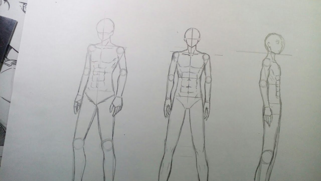 Detail Sketsa Anatomi Tubuh Manusia Nomer 15