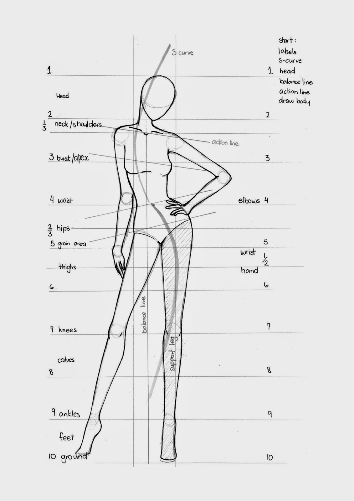 Detail Sketsa Anatomi Tubuh Manusia Nomer 18