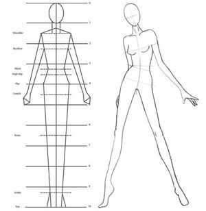 Detail Sketsa Anatomi Tubuh Manusia Nomer 24