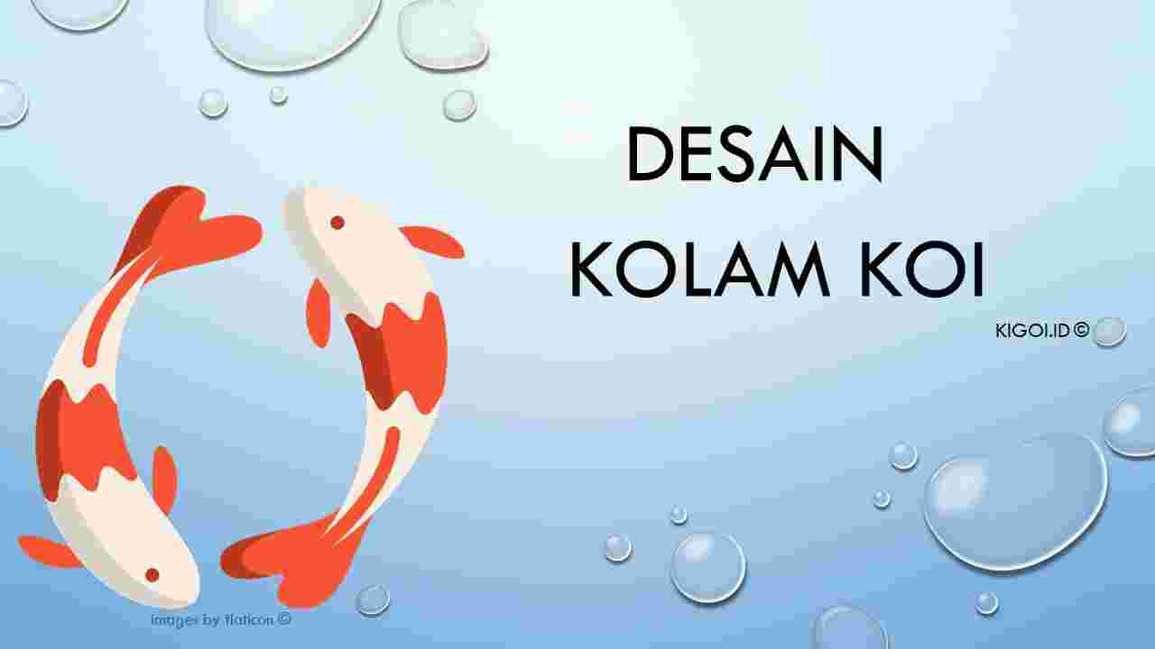 Detail Sketsa Ekosistem Kolam Sketsa Gambar Ikan Dan Kolam Untuk Menggambar Nomer 12