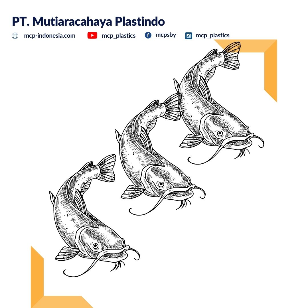 Detail Sketsa Ekosistem Kolam Sketsa Gambar Ikan Dan Kolam Untuk Menggambar Nomer 20