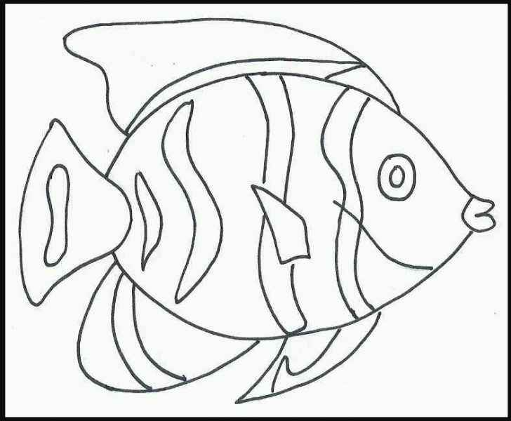 Detail Sketsa Ekosistem Kolam Sketsa Gambar Ikan Dan Kolam Untuk Menggambar Nomer 6