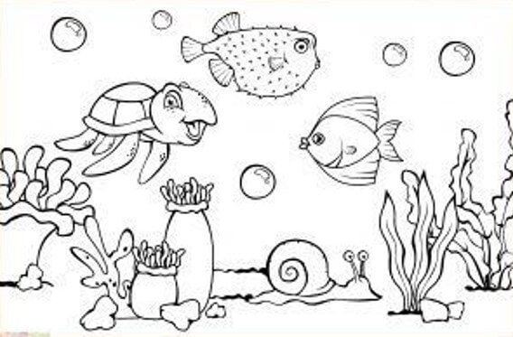 Detail Sketsa Ekosistem Kolam Sketsa Gambar Ikan Dan Kolam Untuk Menggambar Nomer 9