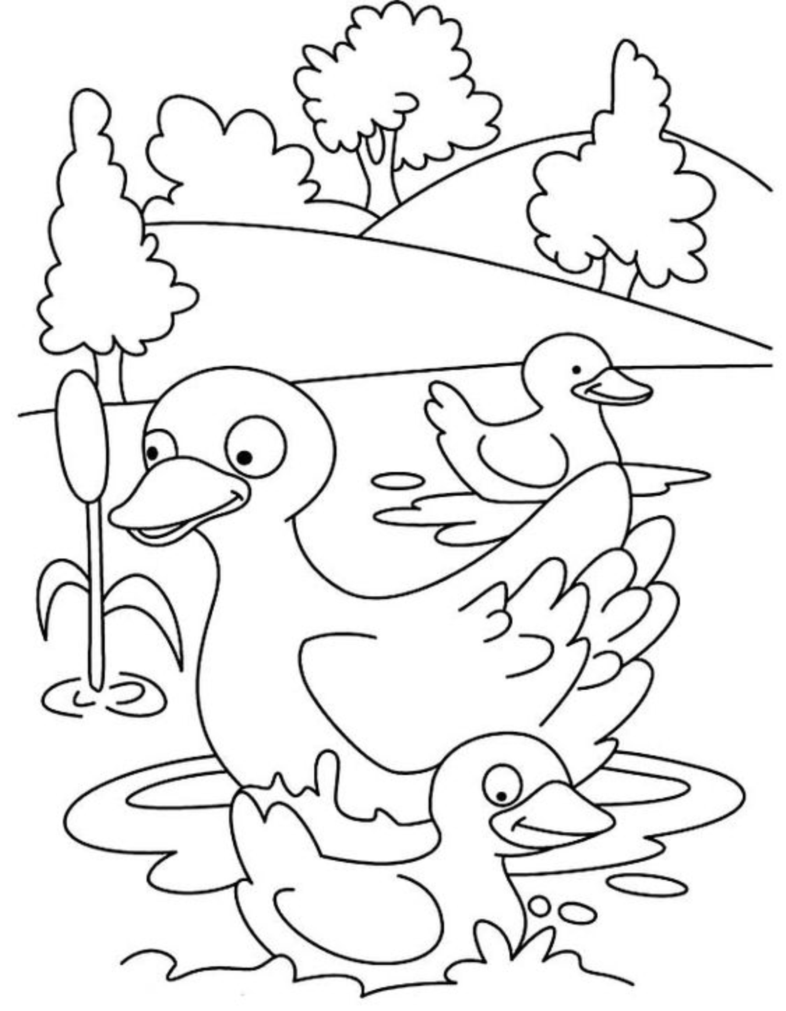 Detail Sketsa Gambar Binatang Untuk Anak Anak Nomer 9