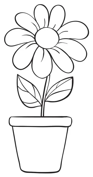 Detail Sketsa Gambar Bunga Beserta Pot Nya Nomer 5