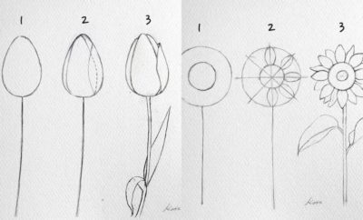 Detail Sketsa Gambar Bunga Beserta Potnya Nomer 50