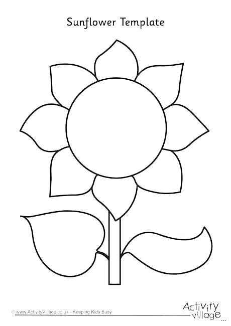 Detail Sketsa Gambar Bunga Matahari Untuk Kolase Nomer 22