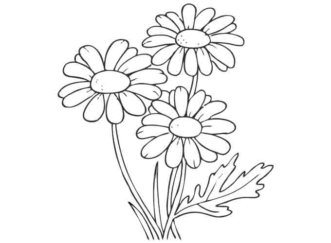 Detail Sketsa Gambar Bunga Untuk Anak Sd Nomer 36