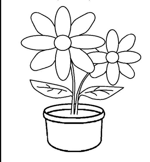 Detail Sketsa Gambar Bunga Untuk Anak Tk Nomer 9