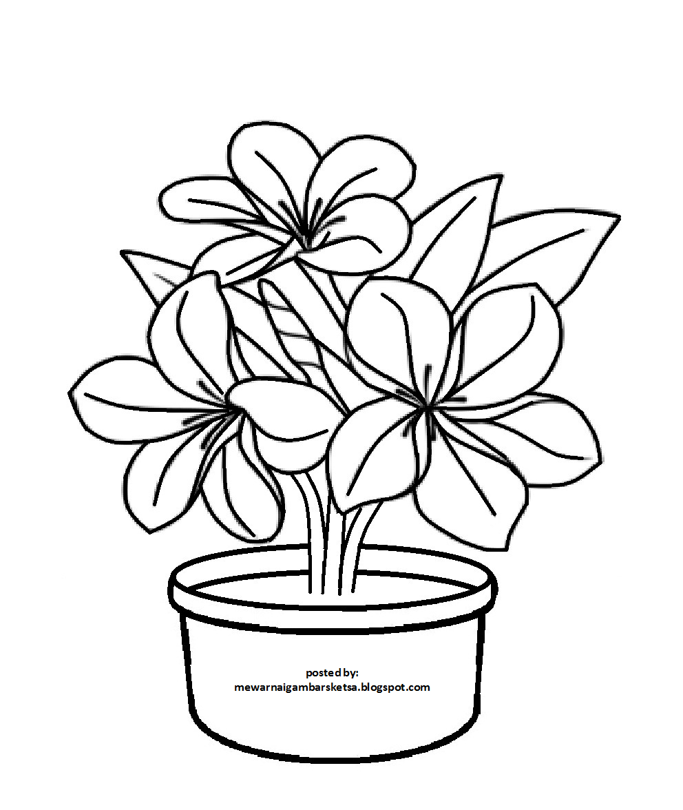 Detail Sketsa Gambar Bunga Untuk Mewarnai Nomer 18