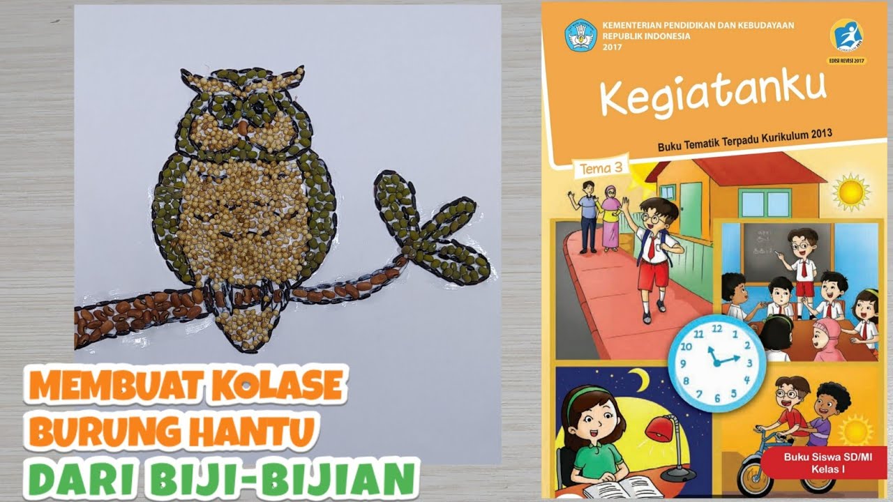 Detail Sketsa Gambar Burung Buku Siswa Tema 3 Kelas 4 Nomer 9