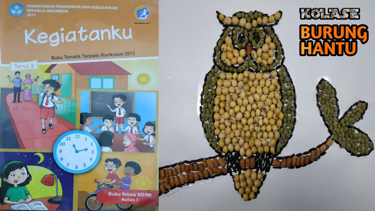 Detail Sketsa Gambar Burung Buku Siswa Tema 3 Kelas 4 Nomer 23