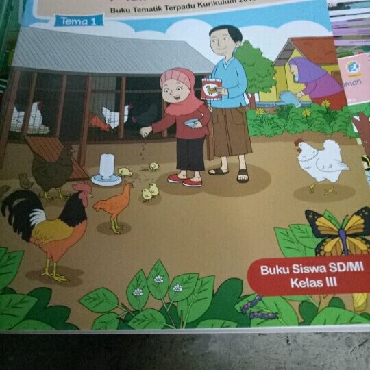 Detail Sketsa Gambar Burung Buku Siswa Tema 3 Kelas 4 Nomer 29